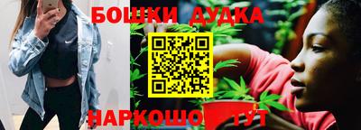 МДПВ Будённовск