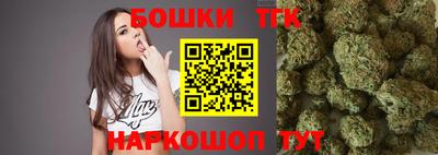 МДПВ Будённовск