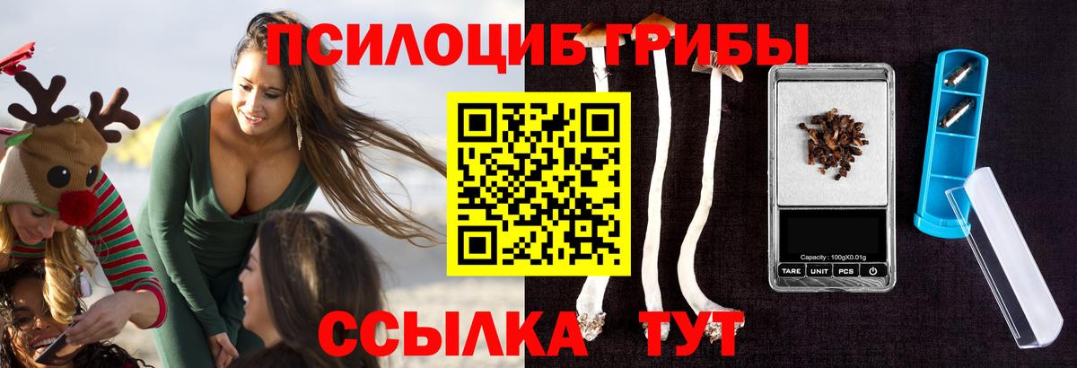 Псилоцибиновые грибы ЛСД  Галлюциногенные грибы Magic Shrooms  Вход с VPN  наркошоп  Сунжа 